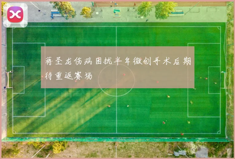 蒋圣龙伤病困扰半年微创手术后期待重返赛场