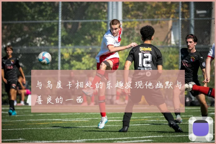 与乌度卡相处的乐趣发现他幽默与善良的一面