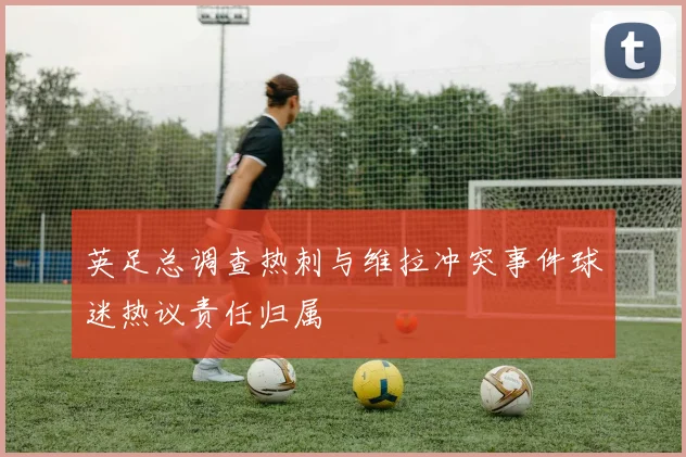 英足总调查热刺与维拉冲突事件球迷热议责任归属